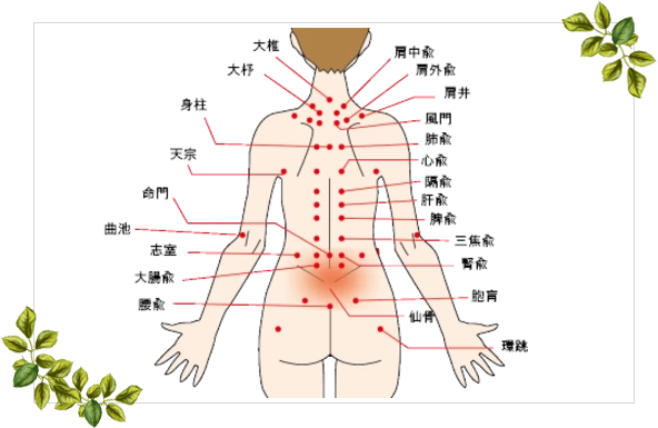 当サロンは「経絡（けいらく）」という東洋の伝統的な手法を用いたオイルトリートメント専門の女性専用サロンです。